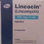 Lincocin 600mg Injection