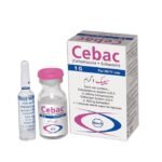 Cebac 1g Injection