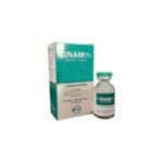 Cinam 500mg Injection